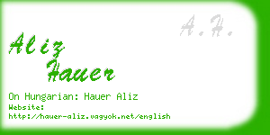 aliz hauer business card